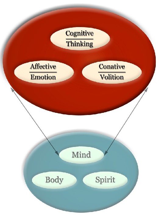 educational-psychology-interactive-systems-model-of-human-behavior