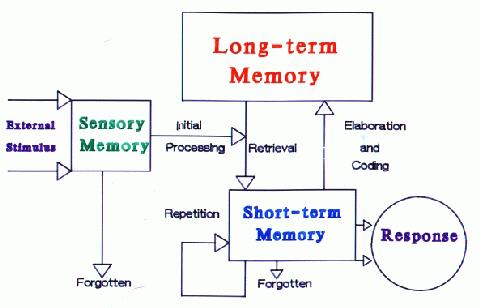 Explain Information Process Model With Reference To Cognitive