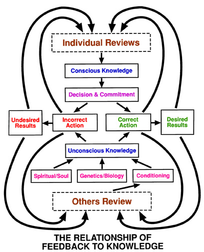 The Importance of Feedback in